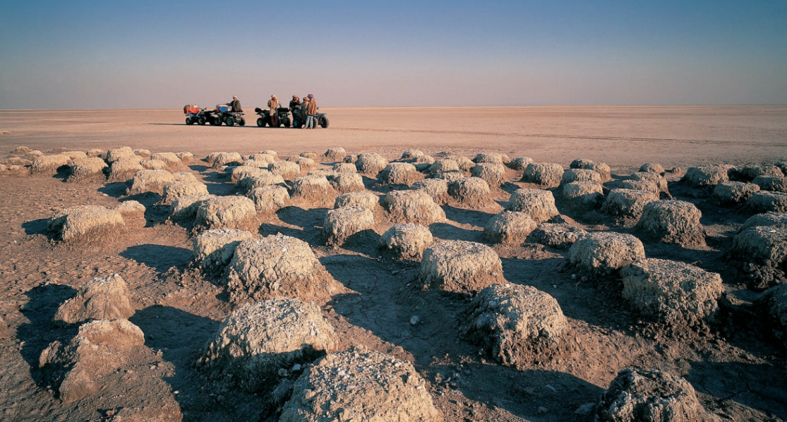 Kubu Island, Makgadikgadi Pans, Botswana
